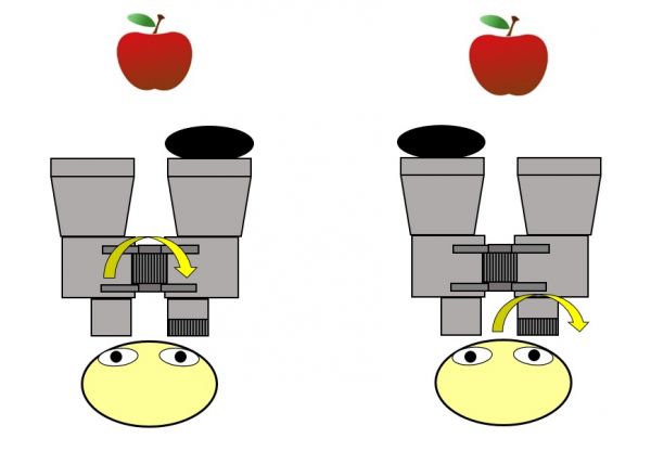 双眼鏡 視度の調節