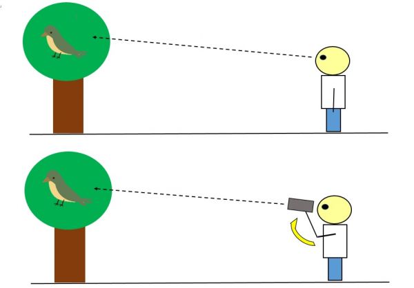 双眼鏡 使い方のコツ