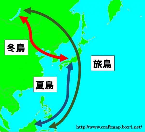 渡り鳥地図